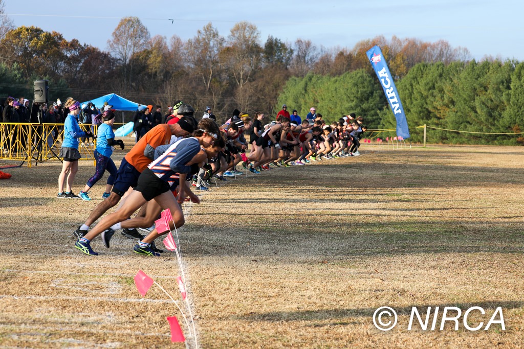 Cross country is the best type of racing